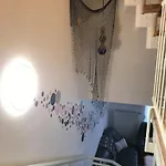 Feha 30 Delphin In Ruhiger Lage * Rerik
