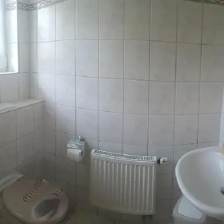 Feha 30 Delphin In Ruhiger Lage Rerik