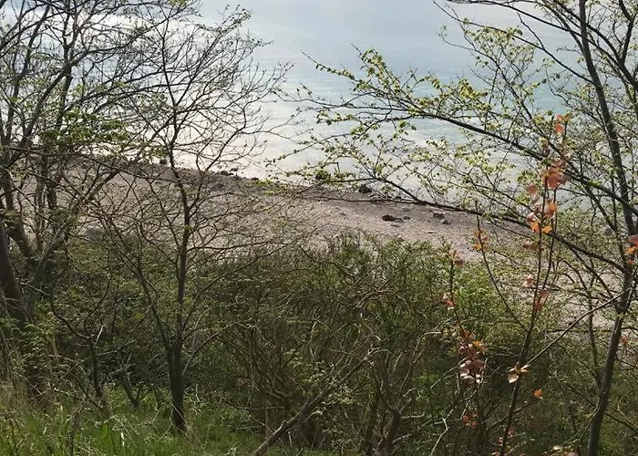 Feriehus Feha 30 Delphin In Ruhiger Lage Rerik