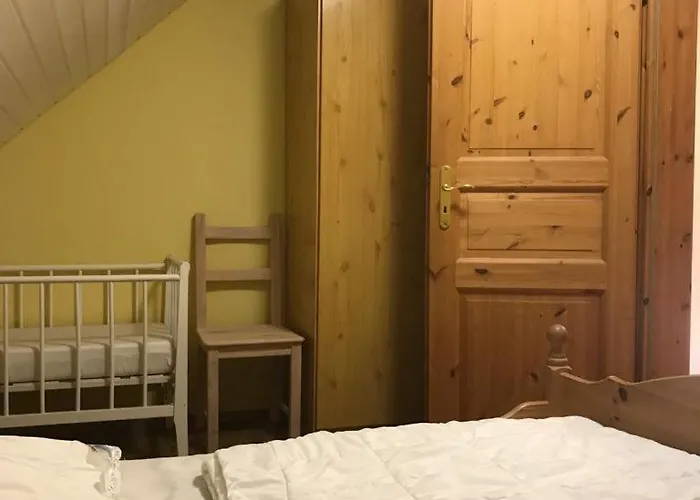 Feha 30 Delphin In Ruhiger Lage